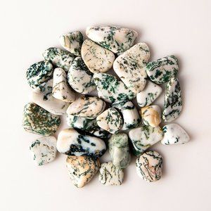 50g Tumbled Small Tree Agate Gemstone Crystals 10-20 Stones Dendritic Specimens